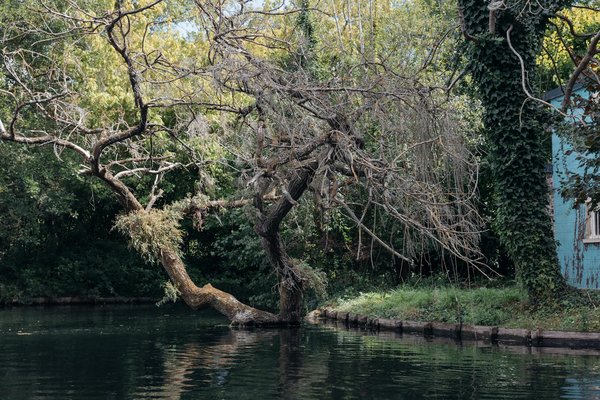 Dernières Découvertes : L'Impact de la Génétique sur Votre Santé